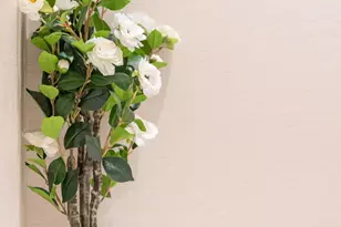 6587 N Palmeraie Blvd, Paradise Valley, AZ 85253 - Photo 119