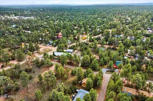 1955 Twin Pines Trail, Overgaard, AZ 85933 - Photo 27
