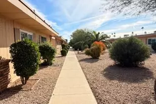 13885 N 111th Ave, Sun City, AZ 85351 - Photo 19