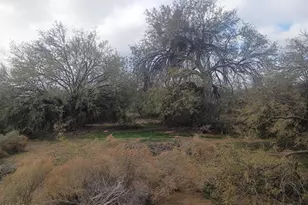 213Xo W Elliot Rd, Buckeye, AZ 85326 - Photo 1