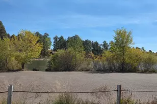 2607 Rainbow Lake Dr, Lakeside, AZ 85929 - Photo 43