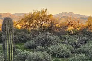 32Xxx N 162nd St, Scottsdale, AZ 85262 - Photo 1