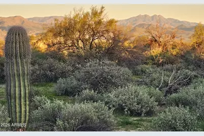 32Xxx N 162nd Street #F, Scottsdale, AZ 85262 - Photo 3