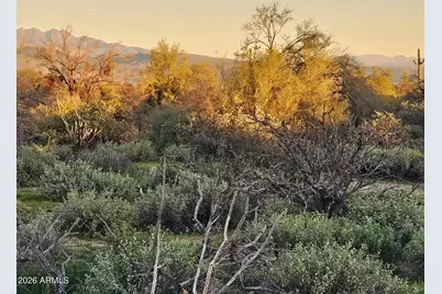 32Xxx N 162nd Street #F, Scottsdale, AZ 85262 - Photo 13