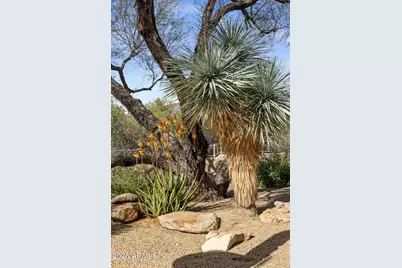 34068 N 79th Way, Scottsdale, AZ 85266 - Photo 89