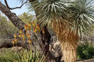 34068 N 79th Way, Scottsdale, AZ 85266 - Photo 89