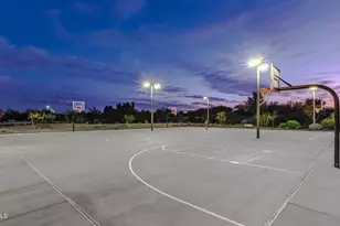 10248 E Tiger Lily Ave, Mesa, AZ 85212 - Photo 83