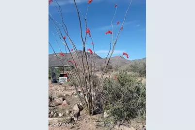 3644 W Vista Del Viejo --, Bisbee, AZ 85603 - Photo 47