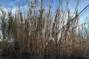 3644 W Vista Del Viejo, Bisbee, AZ 85603 - Photo 31