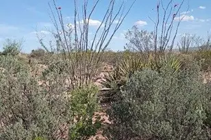 3644 W Vista Del Viejo, Bisbee, AZ 85603 - Photo 53