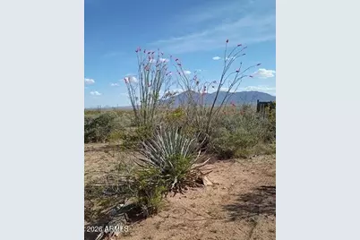 3644 W Vista Del Viejo --, Bisbee, AZ 85603 - Photo 51