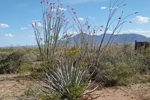 3644 W Vista Del Viejo, Bisbee, AZ 85603 - Photo 51
