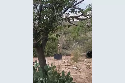 3644 W Vista Del Viejo --, Bisbee, AZ 85603 - Photo 59