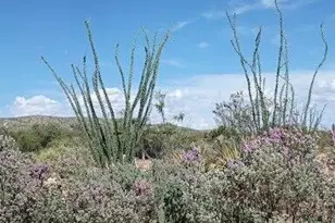 3644 W Vista Del Viejo, Bisbee, AZ 85603 - Photo 61