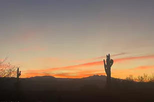 29317 N 164th St, Scottsdale, AZ 85262 - Photo 37