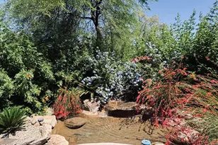 7306 E Sunset Sky Cir, Scottsdale, AZ 85266 - Photo 5