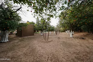 2005 N Pomelo, Mesa, AZ 85215 - Photo 59