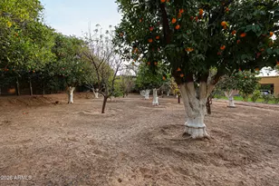 2005 N Pomelo, Mesa, AZ 85215 - Photo 61