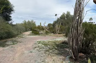 125 E South Mountain Ave, Phoenix, AZ 85042 - Photo 3