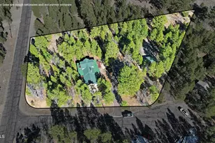 4583 Cinch Cir, Happy Jack, AZ 86024 - Photo 5