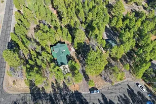 4583 Cinch Cir, Happy Jack, AZ 86024 - Photo 41