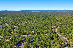 4583 Cinch Cir, Happy Jack, AZ 86024 - Photo 43