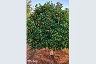 22307 N Venado Drive, Sun City West, AZ 85375 - Photo 17