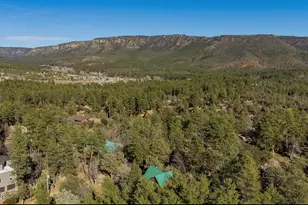 6653 W Ridge Rd, Pine, AZ 85544 - Photo 33