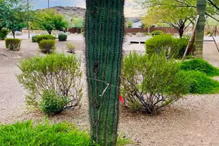 28720 N 132nd Ln, Peoria, AZ 85383 - Photo 7