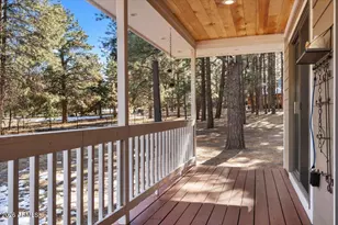 24 County Road 2065 --, Alpine, AZ 85920 - Photo 25