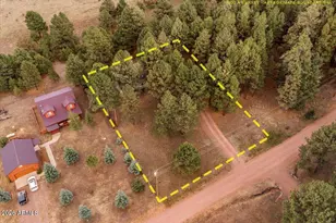 24 County Road 2065 --, Alpine, AZ 85920 - Photo 33