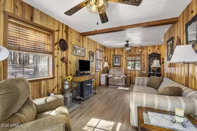 24 County Road 2065 --, Alpine, AZ 85920 - Photo 15