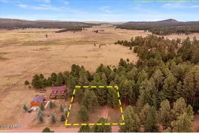 24 County Road 2065 --, Alpine, AZ 85920 - Photo 35