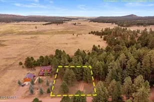 24 County Road 2065 --, Alpine, AZ 85920 - Photo 35