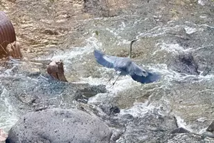 4426 N State Route 89A Hwy N, Sedona, AZ 86336 - Photo 9