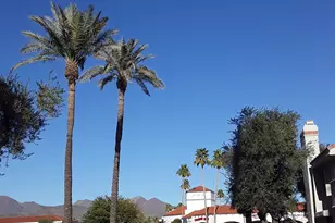 10115 E Mountain View Rd, Scottsdale, AZ 85258 - Photo 13