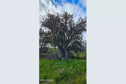 35605 N 138th Way #-, Scottsdale, AZ 85262 - Photo 15