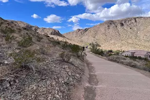 1024 E Frye Rd, Phoenix, AZ 85048 - Photo 43