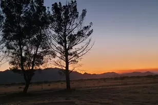 8255 N Fort Grant Rd, Willcox, AZ 85643 - Photo 15