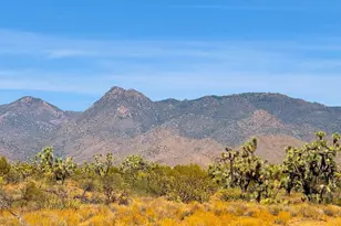 Tbd S Rawhide Rd 38 82 Acres --, Yucca, AZ 86438 - Photo 1