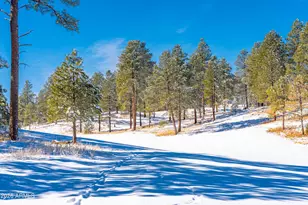 3017 S Tourmaline Dr, Flagstaff, AZ 86005 - Photo 53