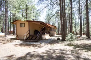 2224 Daisy Trl, Forest Lakes, AZ 85931 - Photo 9