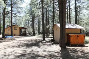 2224 Daisy Trl, Forest Lakes, AZ 85931 - Photo 11