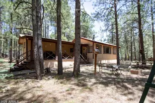 2224 Daisy Trl, Forest Lakes, AZ 85931 - Photo 1