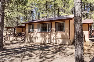 2224 Daisy Trl, Forest Lakes, AZ 85931 - Photo 3