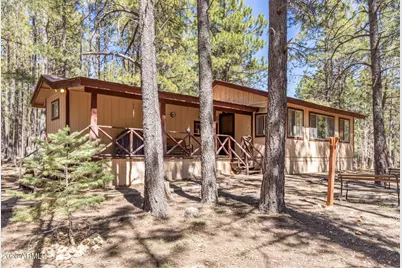 2224 Daisy Trail, Forest Lakes, AZ 85931 - Photo 1