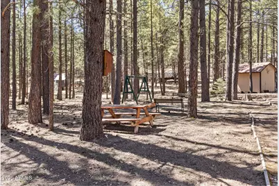 2224 Daisy Trail, Forest Lakes, AZ 85931 - Photo 23