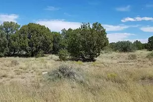 8388 Lake View Dr, Show Low, AZ 85901 - Photo 1