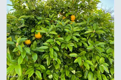 10602 N 103rd Avenue, Sun City, AZ 85351 - Photo 7