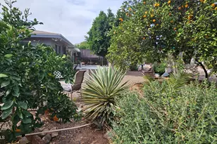 5704 E Dodge St, Mesa, AZ 85205 - Photo 19